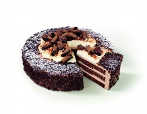 Crunchy Chocolate Gateau